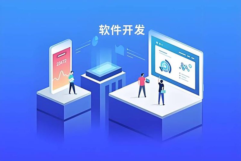 软件定制开发:选择指南